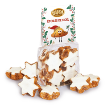 Etoiles de Noël